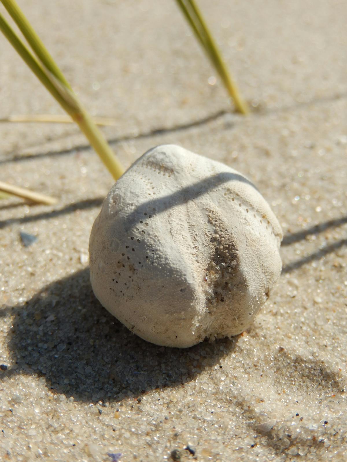 キングダムをおすすめする理由 実写映画 アニメ化 名作漫画